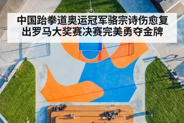 中国跆拳道奥运冠军骆宗诗伤愈复出罗马大奖赛决赛完美勇夺金牌